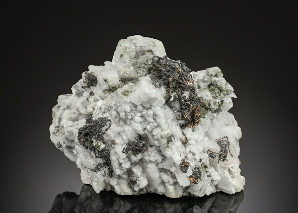CC25642 specimen image