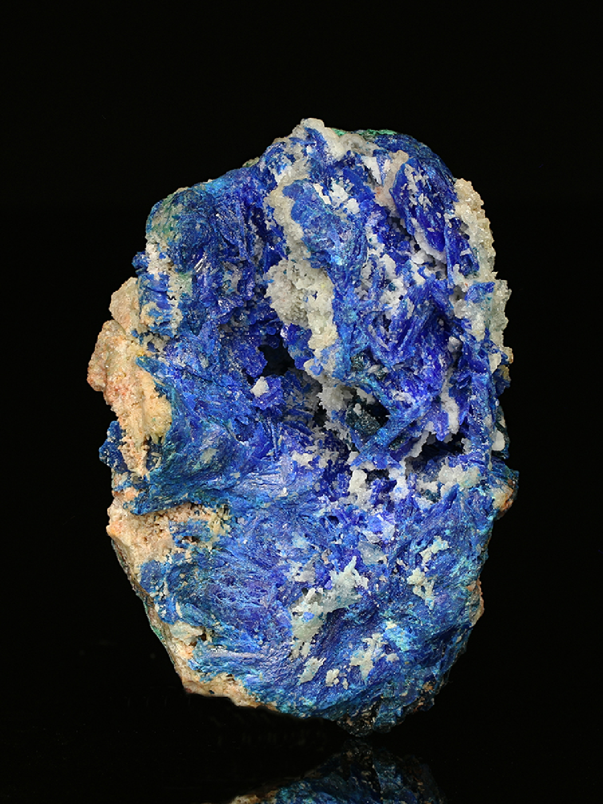 CC25653 specimen image