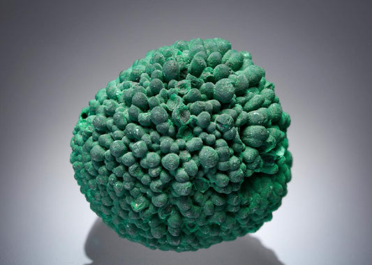 CC2566 specimen image