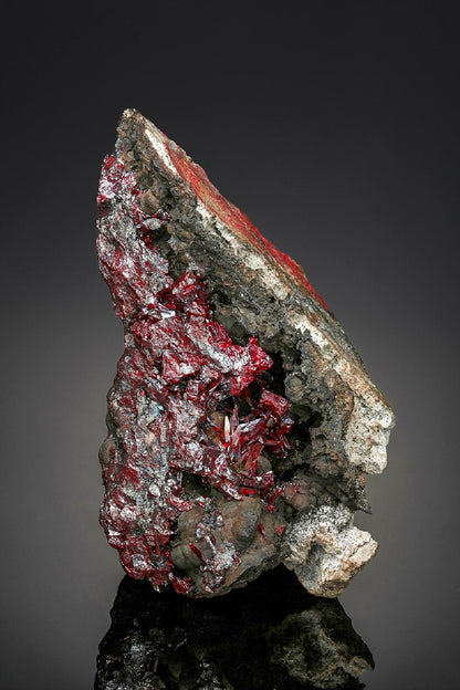 CC25665 specimen image