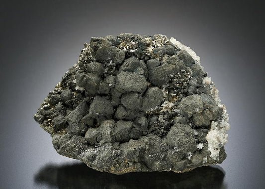 CC25667 specimen image