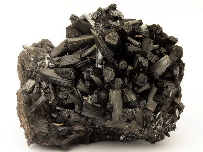 CC25689 specimen image