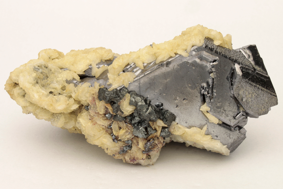 CC25695 specimen image