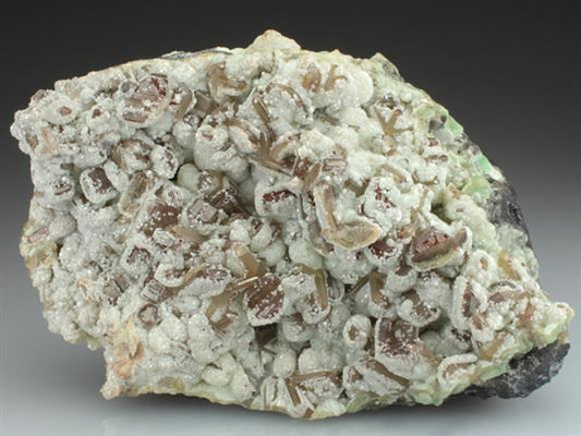 CC2599 specimen image