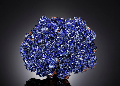 CC26190 specimen image