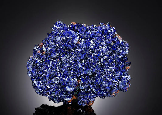 CC26190 specimen image