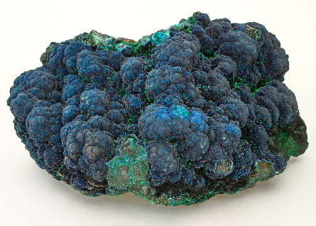 CC26199 specimen image