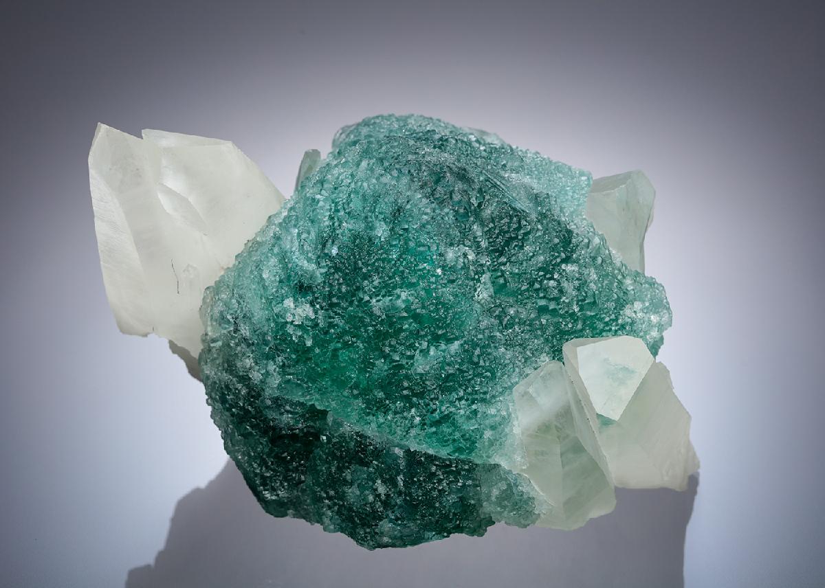 CC26220 specimen image