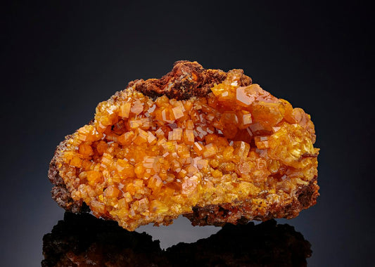CC26228 specimen image