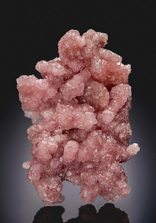 CC26229 specimen image