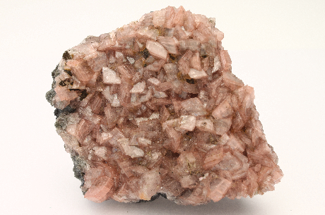 CC26298 specimen image