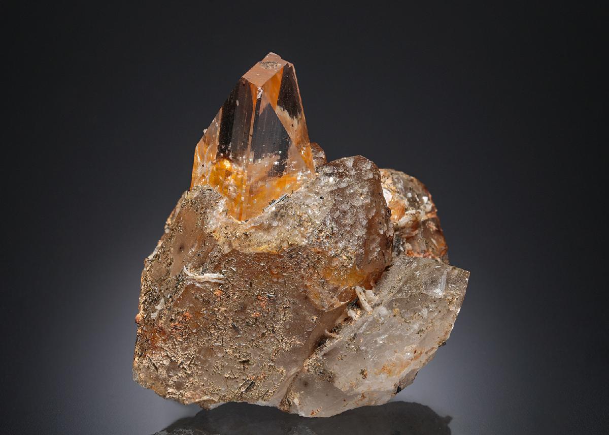 CC2631 specimen image