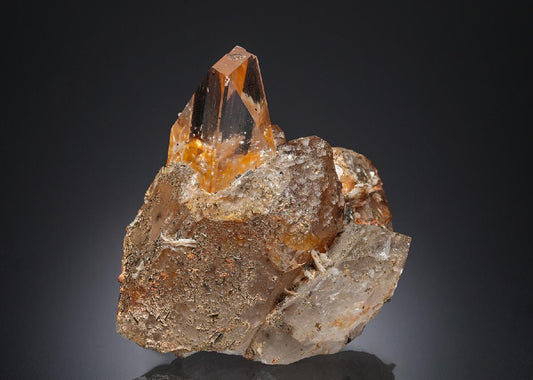 CC2631 specimen image