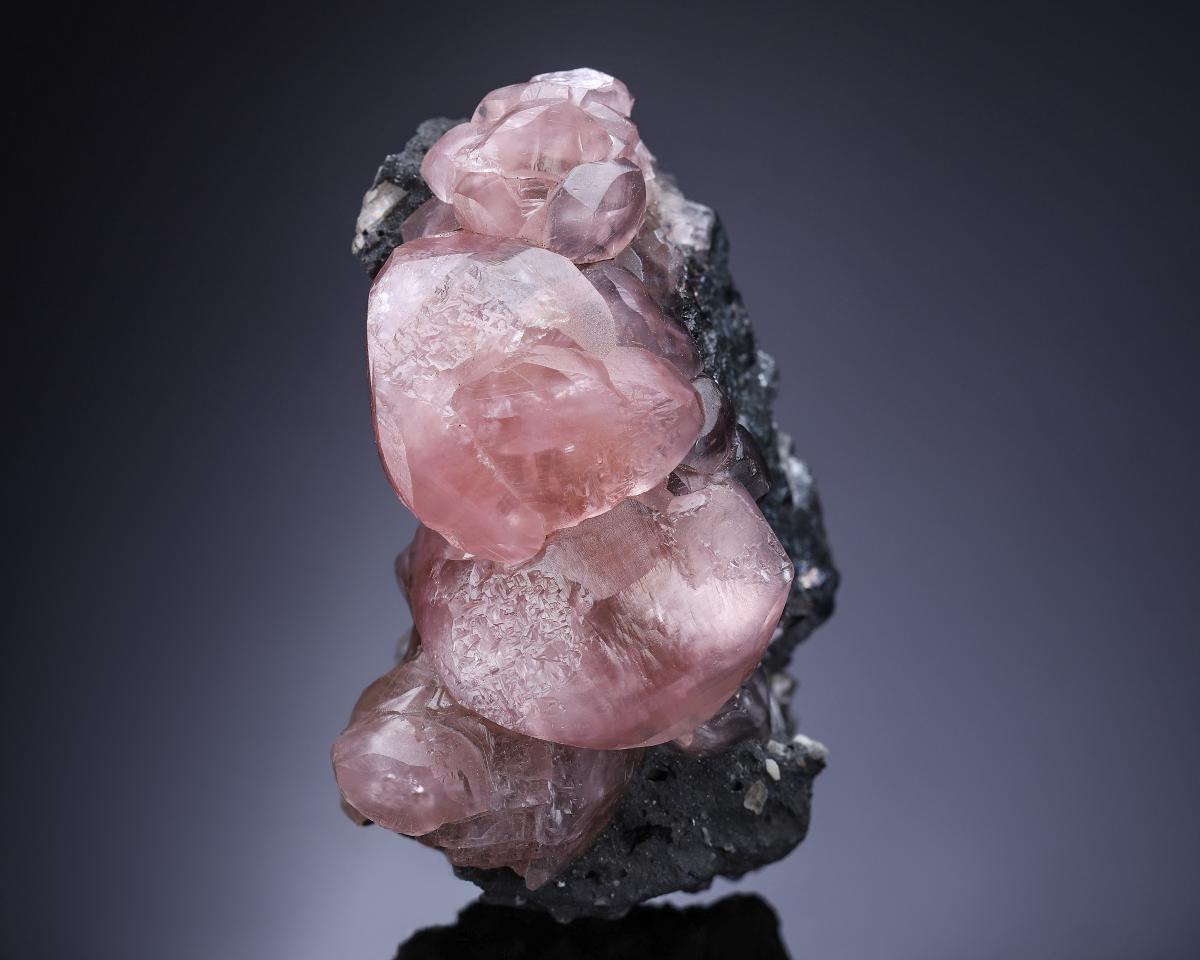 CC26311 specimen image