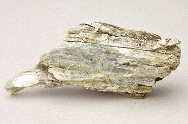 CC26312 specimen image