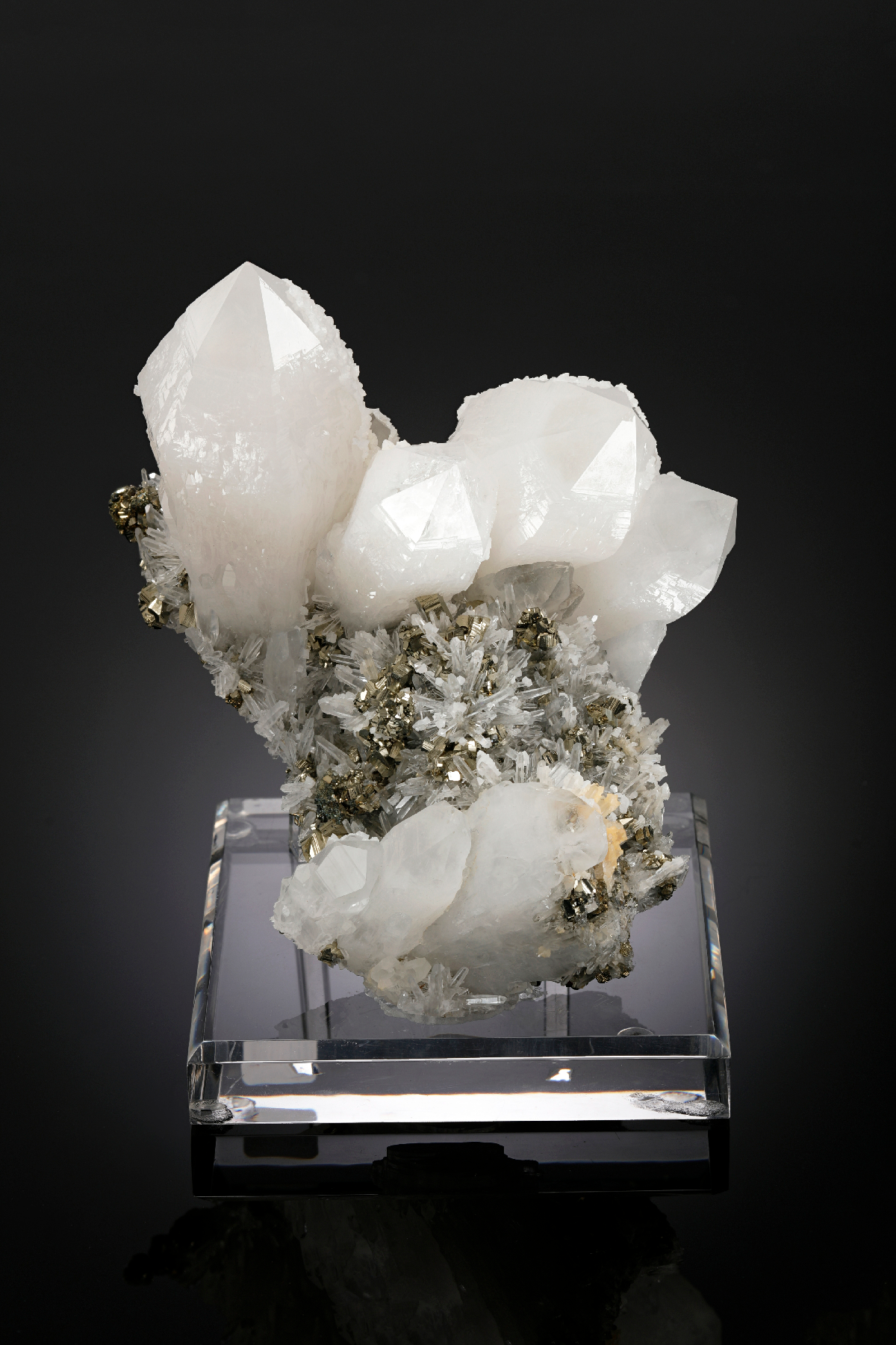 CC26383 specimen image