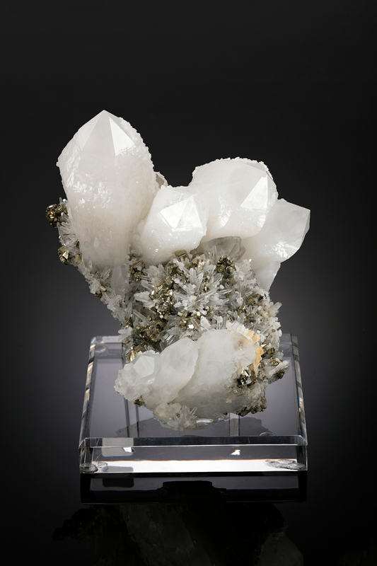 CC26383 specimen image