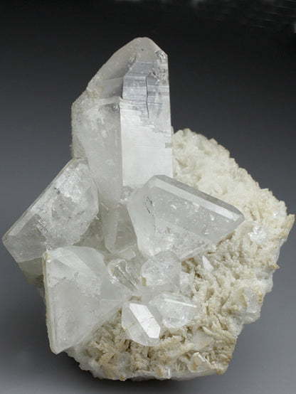 CC2644 specimen image