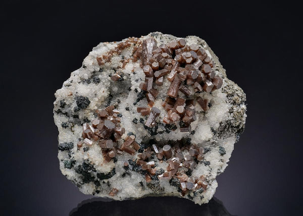CC26442 specimen image