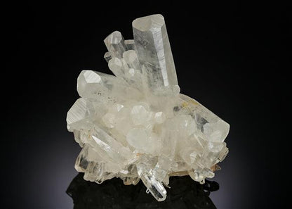 CC2650 specimen image