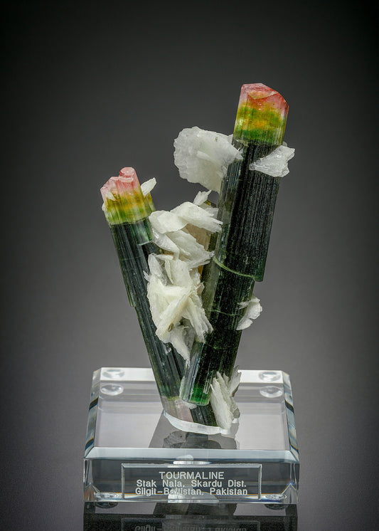 TOURMALINE group with ALBITE var. CLEAVELANDITE