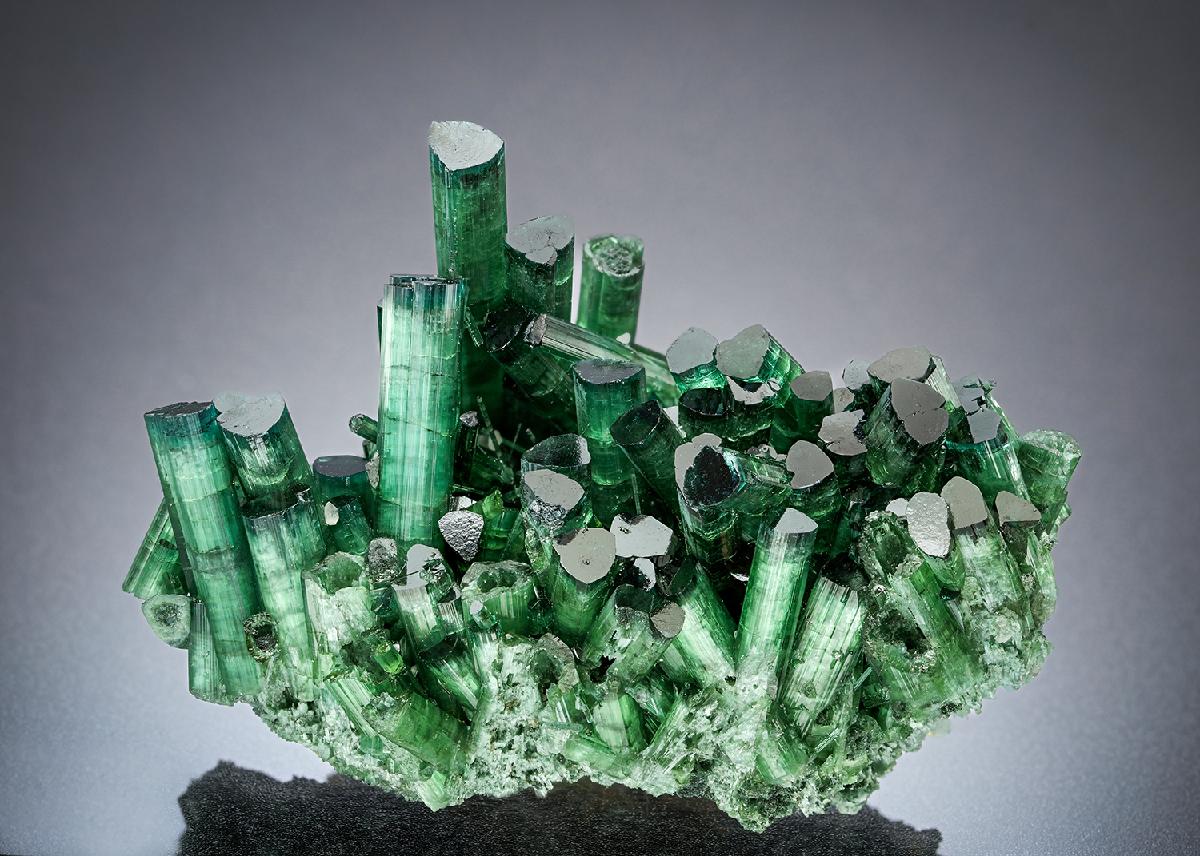 CC26549 specimen image