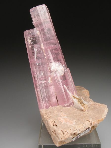 CC2658 specimen image