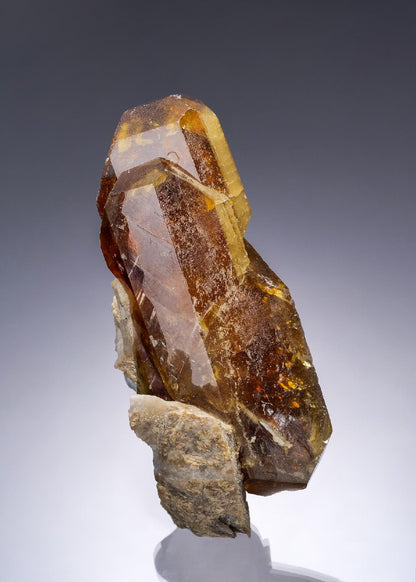 CC26587 specimen image