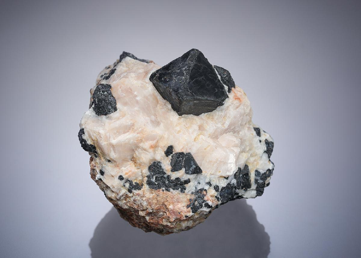 CC26672 specimen image