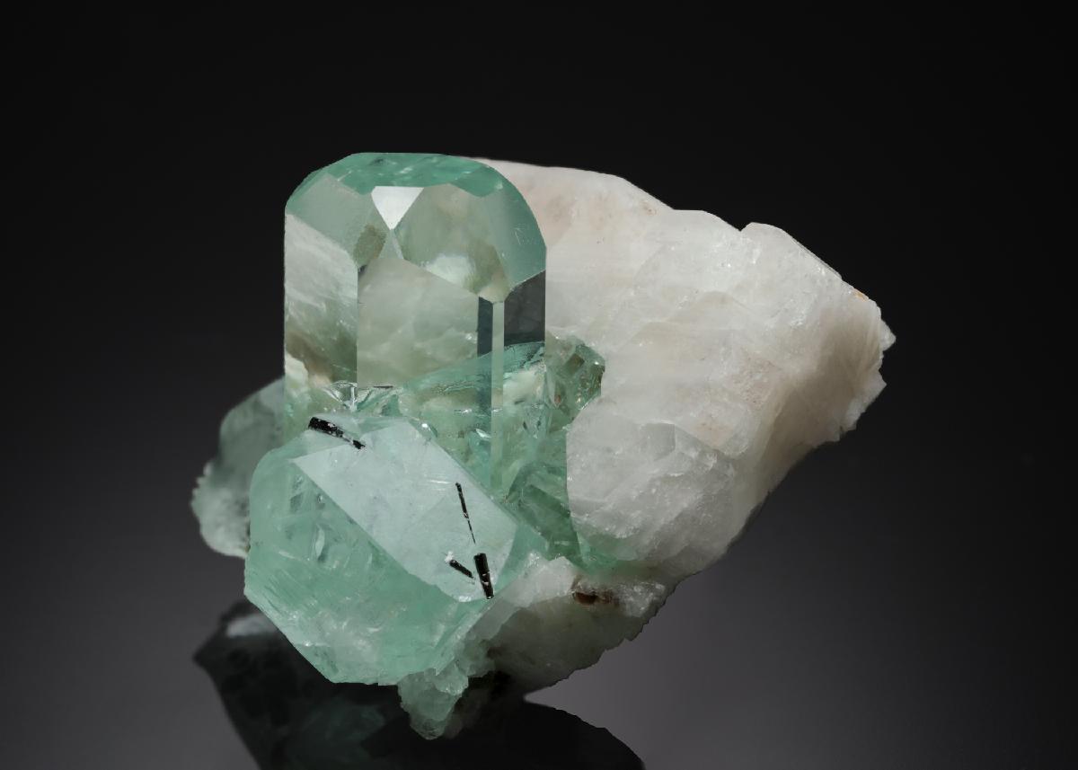 CC26692 specimen image