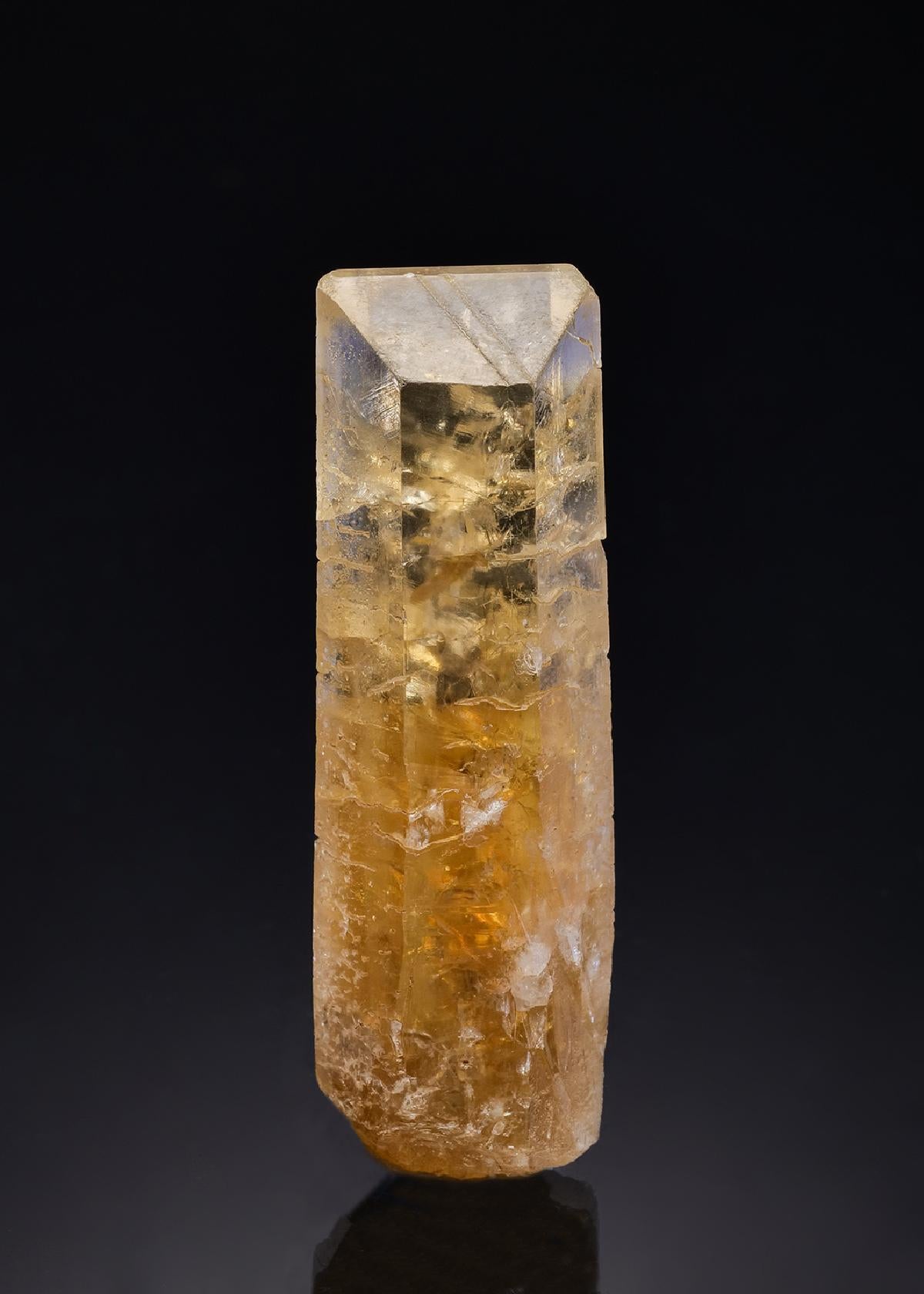 CC26735 specimen image