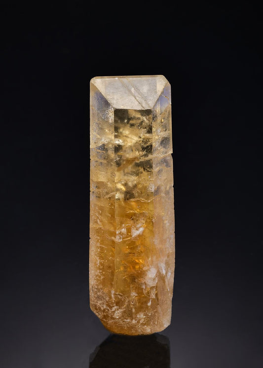 CC26735 specimen image
