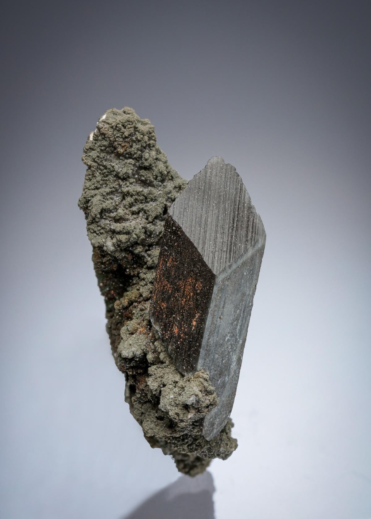 CC26807 specimen image
