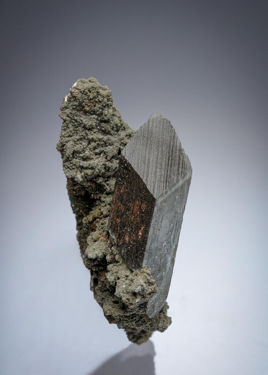 CC26807 specimen image