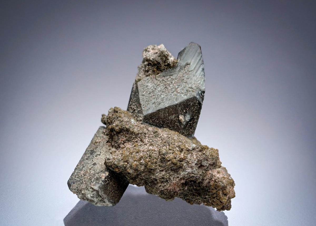 CC26809 specimen image