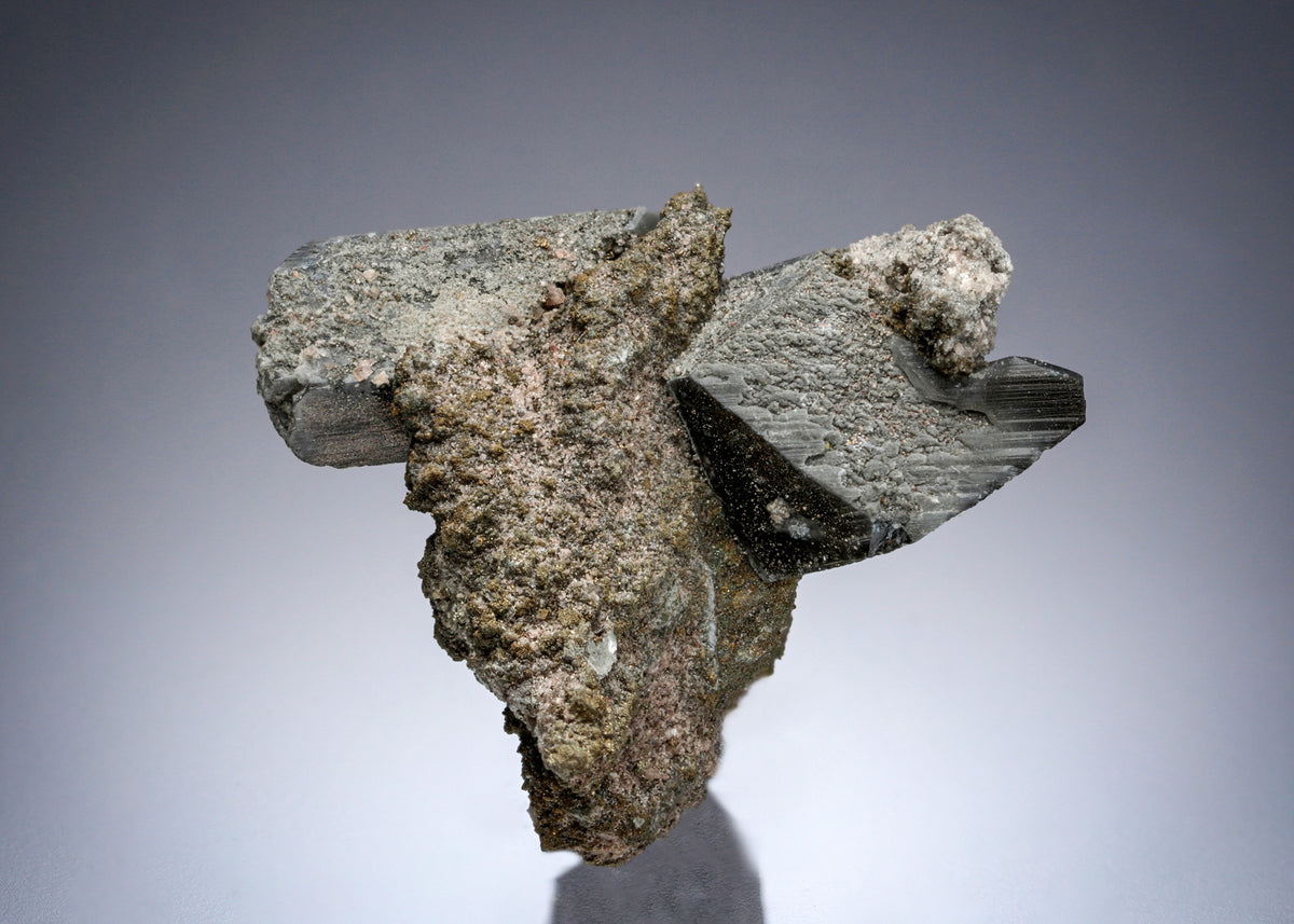 WHEWELLITE with SMYTHITE inclusions