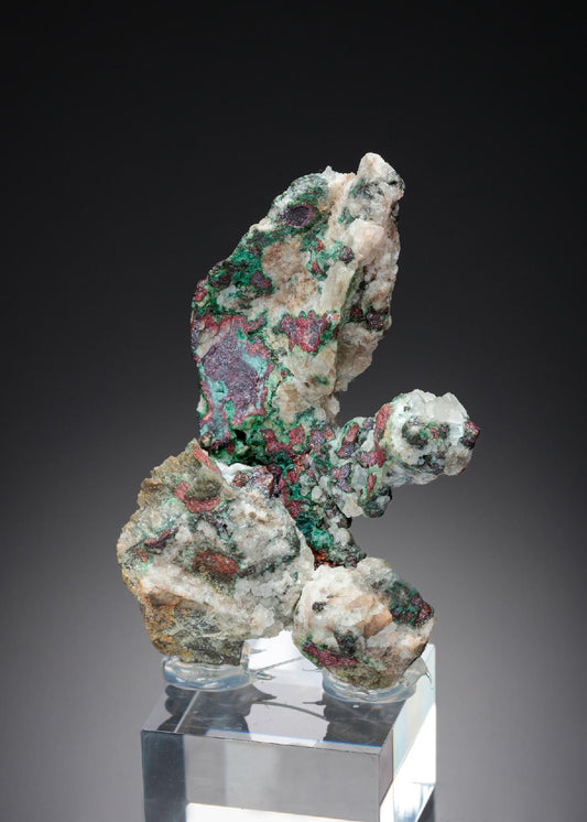 CC26891 specimen image