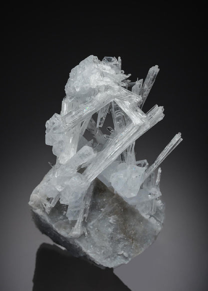 CC26893 specimen image