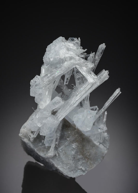 CC26893 specimen image