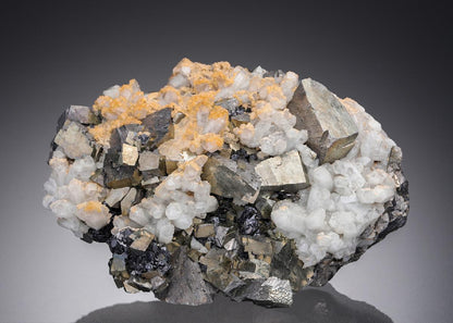 CC26897 specimen image