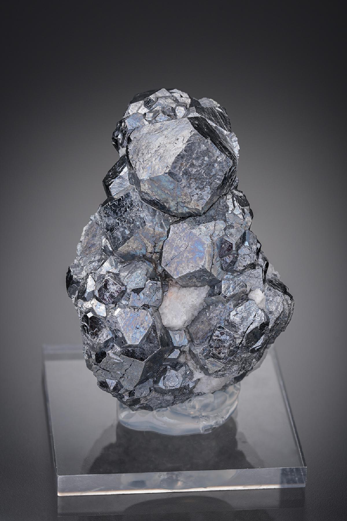 CC26919 specimen image