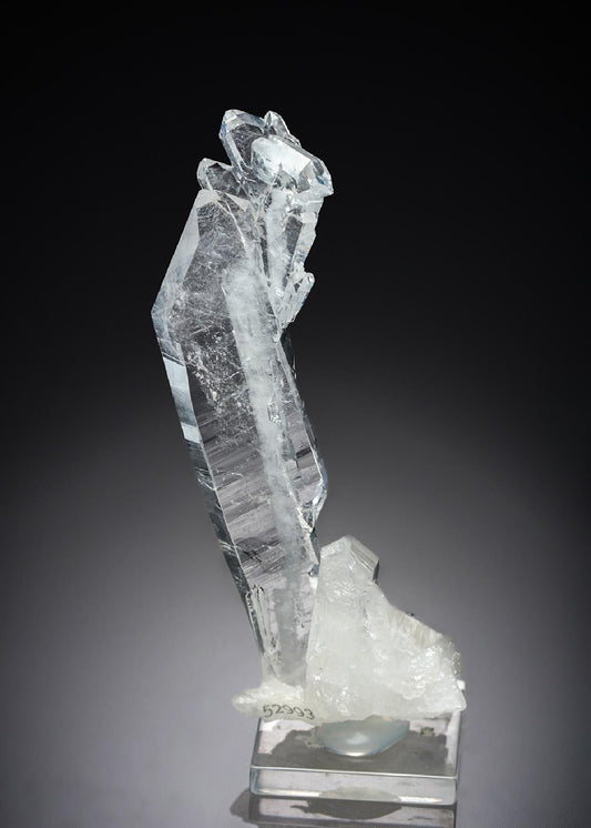 CC26939 specimen image