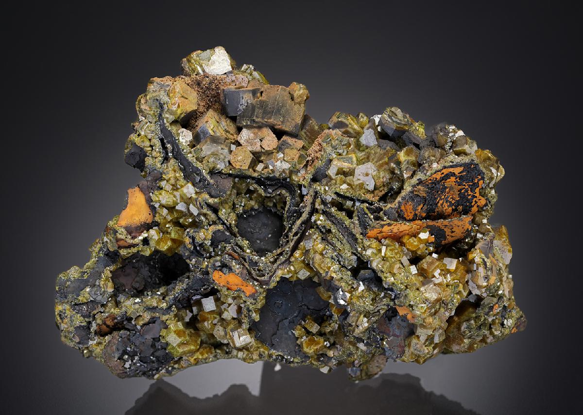 CC26945 specimen image