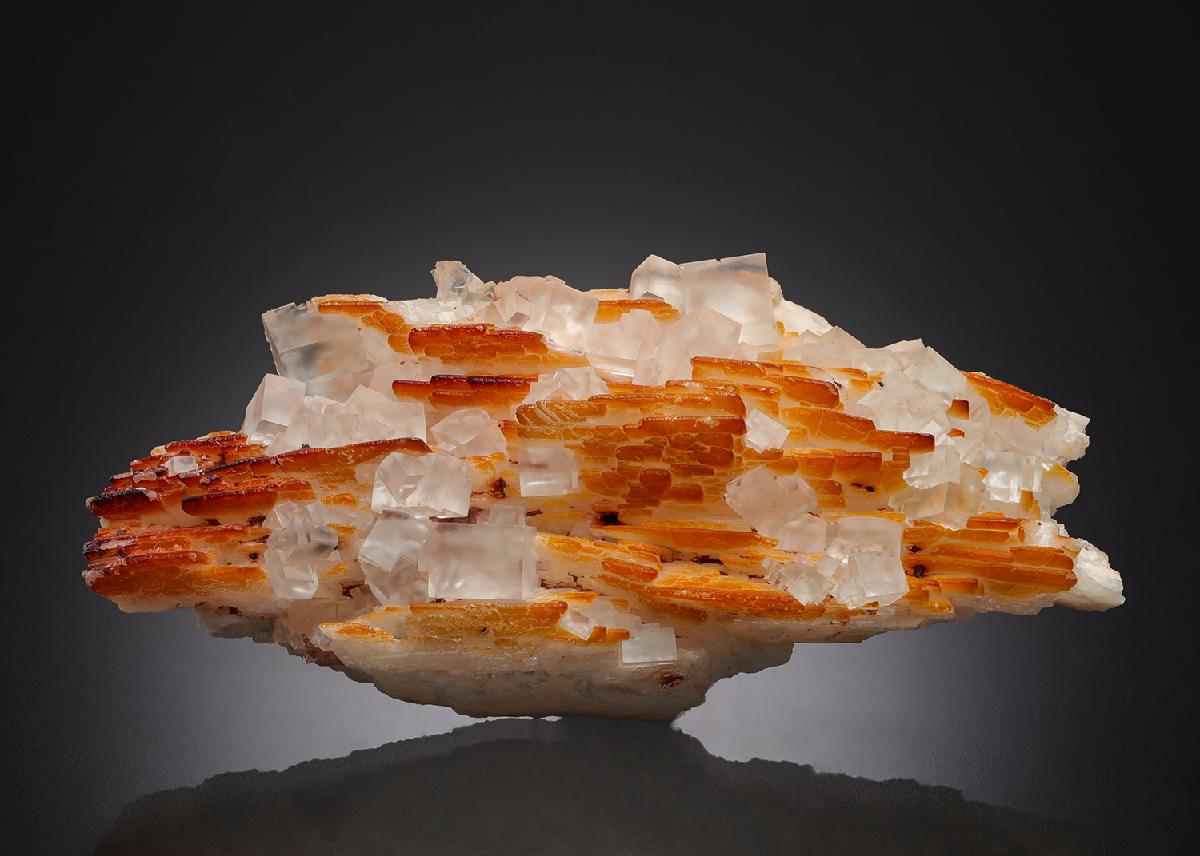 CC26957 specimen image