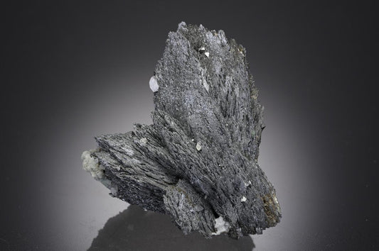 CC26961 specimen image