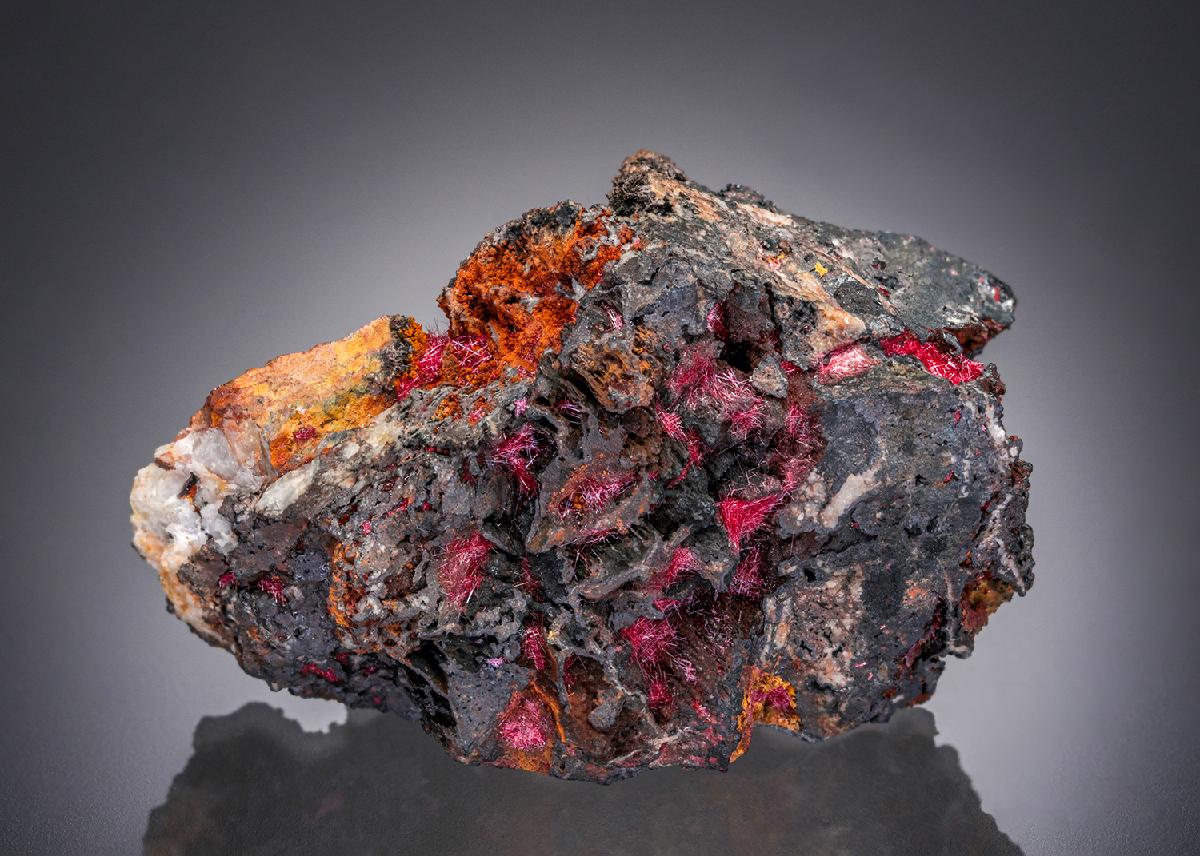 CC26973 specimen image