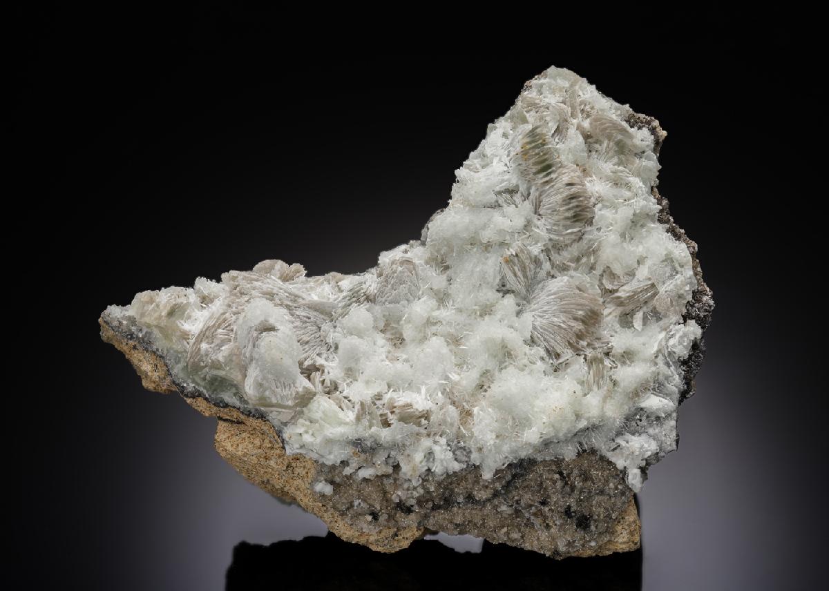 CC26999 specimen image