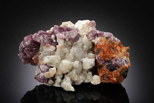 CC27011 specimen image