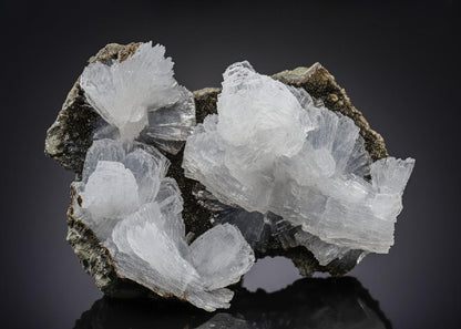 CC27029 specimen image
