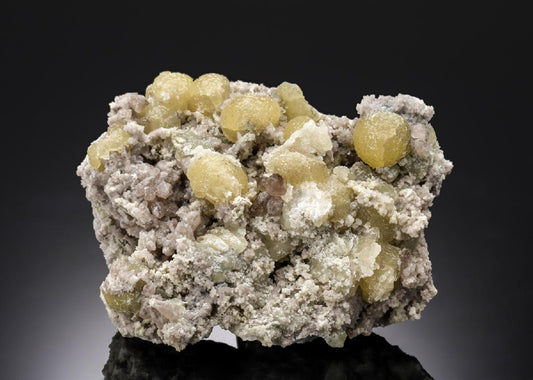CC27053 specimen image
